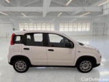  Fiat  Panda FIAT  / 2011 / 5P / BERLINA 1.0 FIREFLY 70CV SeS HYBRID #7