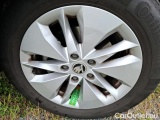  Skoda  Octavia 2.0 TDI 116 BUSINESS #29