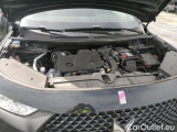  DS  DS7 1.5 BLUEHDI 130 PERFORMANCE LINE AUTO #22