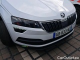  Skoda  Karoq 2.0 TDI 150 BUSINESS #69