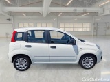  Fiat  Panda FIAT  / 2011 / 5P / BERLINA 1.0 70CV SeS HYBRID E6D-T EASY #7