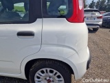  Fiat  Panda FIAT  / 2011 / 5P / BERLINA 1.0 70CV SeS HYBRID E6D-T EASY #35