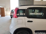  Fiat  Panda FIAT  / 2011 / 5P / BERLINA 0.9 TWINAIR TURBO 85CV WILD 4X4 #52