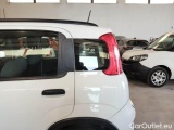  Fiat  Panda FIAT  / 2011 / 5P / BERLINA 0.9 TWINAIR TURBO 85CV WILD 4X4 #78