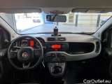  Fiat  Panda FIAT  / 2011 / 5P / BERLINA 1.0 FIREFLY 70CV SeS HYBRID CITY LIFE #3
