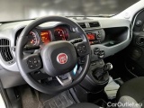  Fiat  Panda FIAT  / 2011 / 5P / BERLINA 1.0 FIREFLY 70CV SeS HYBRID CITY LIFE #3