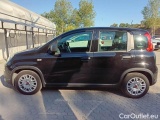  Fiat  Panda FIAT  / 2011 / 5P / BERLINA 1.0 FIREFLY 70CV SeS HYBRID #8