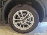  Ford  Kuga FORD  / 2019 / 5P / SUV 1.5 ECOBLUE 120CV 2WD TITANIUM BUS. AUTO #19