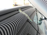  Bmw  Serie 5 Baureihe 5 Touring 530 e 2.0 215KW AT8 E6d #73