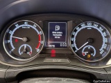  Skoda  Fabia  Combi Best of 1.0 TSI 70KW AT7 E6d #6
