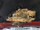 Bmw  Serie 2 BMW 2 Reeks Gran Coupé 216dA (85kW) 4d #30