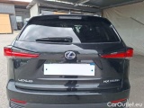  Lexus  NX LEXUS  / 2017 / 5P / SUV HYBRID PREMIUM 4WD #60