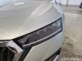  Skoda  Octavia SKODA  WAGON / 2020 / 5P / STATION WAGON 2.0 TDI EVO 110KW EXECUTIVE DSG #39