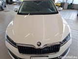 Skoda  Superb SKODA  WAGON / 2019 / 5P / STATION WAGON 2.0 TDI EVO 110KW SCOUT DSG #22