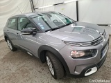 C4 Cactus