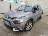 C4 Cactus