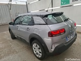 C4 Cactus