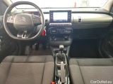 C4 Cactus