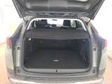  Peugeot  3008  Active Business 1.2 PureTech 130CV BVA8 E6dT #10