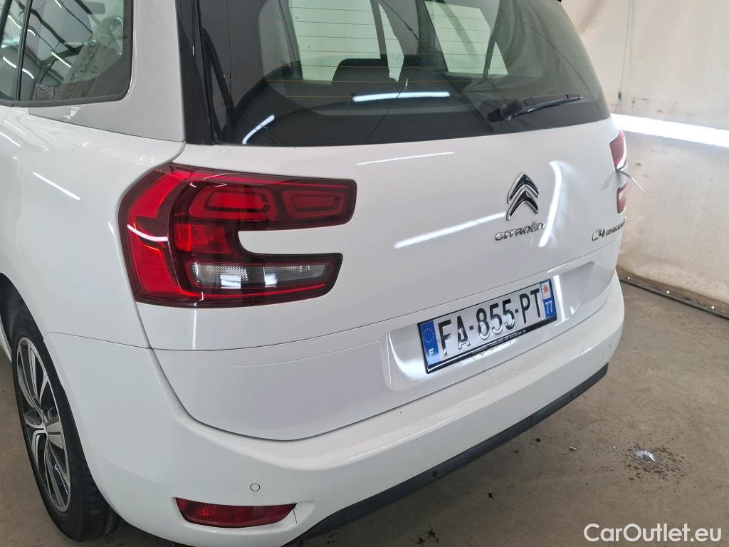 Citroen  C4 Grand Picasso /Spacetourer Business 1.5 BlueHDi 130CV BVM6 E6dT #12