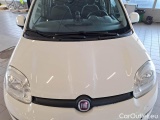  Fiat  Panda FIAT  / 2011 / 5P / BERLINA 1.3 MJT 95CV SeS E6 4X4 #28