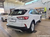  Ford  Kuga FORD  / 2019 / 5P / SUV 1.5 ECOBLUE 120CV 2WD TITANIUM BUS. AUTO #2