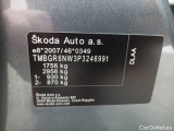  Skoda  KAMIQ Skoda  1.0 TSI 81kW DSG7 Clever 5d #20
