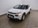 C4 Cactus