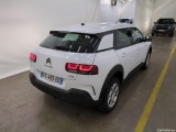 C4 Cactus