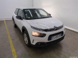 C4 Cactus