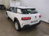 C4 Cactus