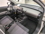 C4 Cactus