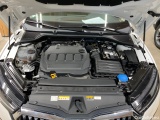  Skoda  Octavia  Combi Clever 2.0 TDI 85KW AT7 E6d #11