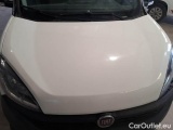  Fiat  Doblo FIAT DOBLÒ CARGO / 2014 / 4P / VETT. FURGONATA MAXI LH1 LOUNGE 1.6 MJET 105CV E6D SeS #29