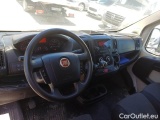 Ducato