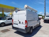 Ducato