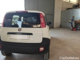  Fiat  Panda FIAT  / 2012 / 5P / BERLINA 900CC 85CV VAN EU6D 4X4 2P.POP #50
