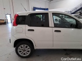 Fiat  Panda FIAT  / 2012 / 5P / BERLINA 900CC NATURAL POWER EURO6D VAN 2 P. POP #56