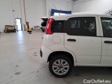  Fiat  Panda FIAT  / 2012 / 5P / BERLINA 900CC NATURAL POWER EURO6D VAN 2 P. POP #62