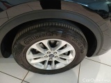  Ford  Kuga FORD  / 2019 / 5P / SUV 1.5 ECOBLUE 120CV 2WD TITANIUM BUS. AUTO #104