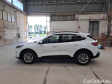  Ford  Kuga FORD  / 2019 / 5P / SUV 1.5 ECOBLUE 120CV 2WD TITANIUM BUS. AUTO #8