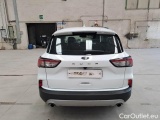  Ford  Kuga FORD  / 2019 / 5P / SUV 1.5 ECOBLUE 120CV 2WD TITANIUM BUS. AUTO #43