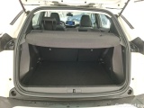  Peugeot  2008  Active Business 1.2 PureTech 100CV BVM6 E6d #10