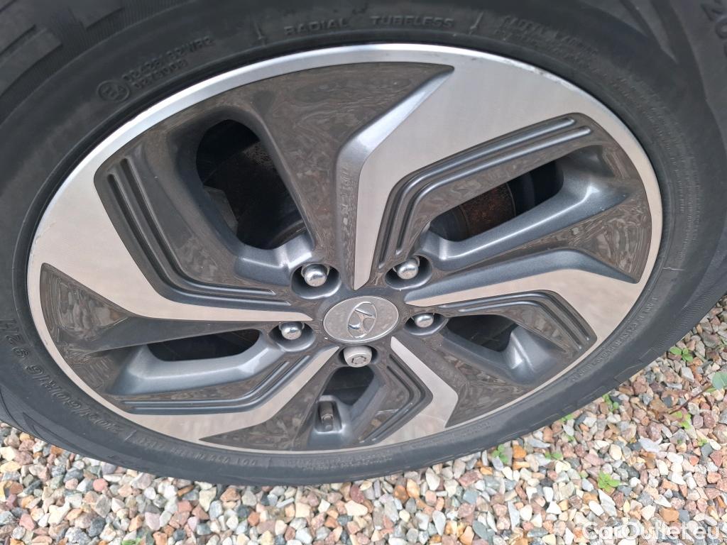  Hyundai  Konna Kona Business Hybrid 2WD 1.6 GDI 140CV BVA6 E6d #39