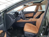  Lexus  NX LEXUS  / 2021 / 5P / SUV 450H+ 4WD Executive #8