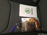  Skoda  Fabia  Ambition 1.0 MPI 80CV BVM5 E6d #12