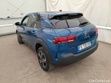 C4 Cactus
