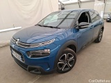 C4 Cactus