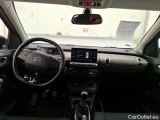 C4 Cactus
