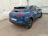 C4 Cactus